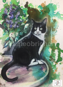 Bespoke Pet Portrait (Click To Browse Examples Of Previous Commissions) Artwork