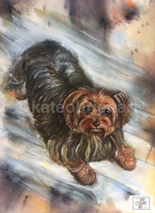 Examples Of Bespoke Dog Portraits Pet Portrait